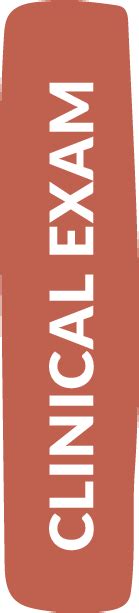 Clinical Examinations – AMC Annual Report 2019.